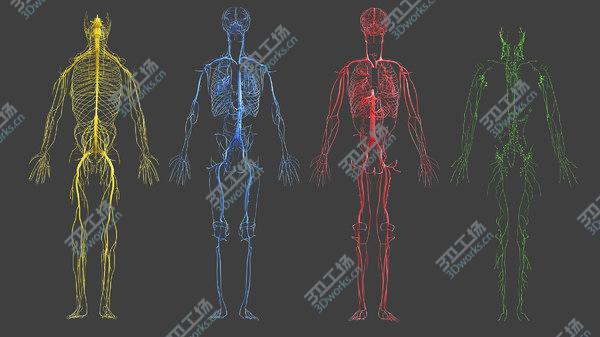 images/goods_img/20210312/3D Full Female Anatomy Rigged/4.jpg